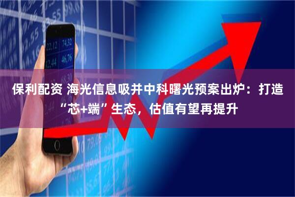 保利配资 海光信息吸并中科曙光预案出炉：打造“芯+端”生态，估值有望再提升