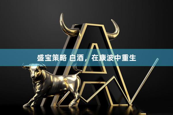 盛宝策略 白酒，在康波中重生