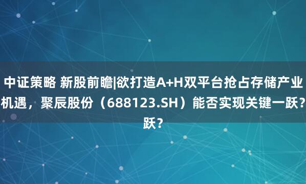 中证策略 新股前瞻|欲打造A+H双平台抢占存储产业机遇，聚辰股份（688123.SH）能否实现关键一跃？
