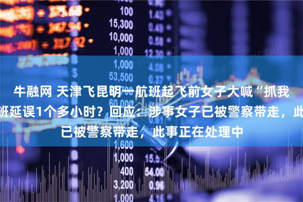 牛融网 天津飞昆明一航班起飞前女子大喊“抓我抓我”，致航班延误1个多小时？回应：涉事女子已被警察带走，此事正在处理中