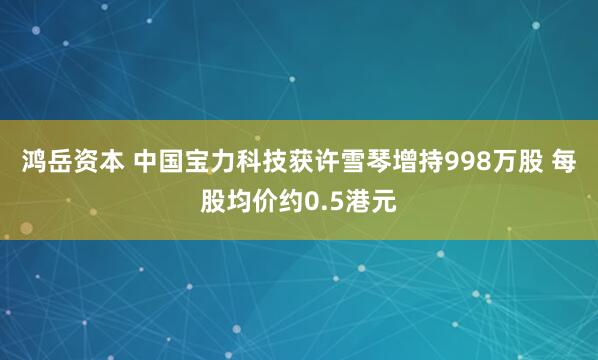 鸿岳资本 中国宝力科技获许雪琴增持998万股 每股均价约0.5港元